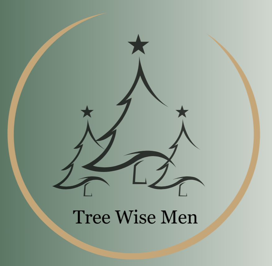 Tree Wise Men Logo