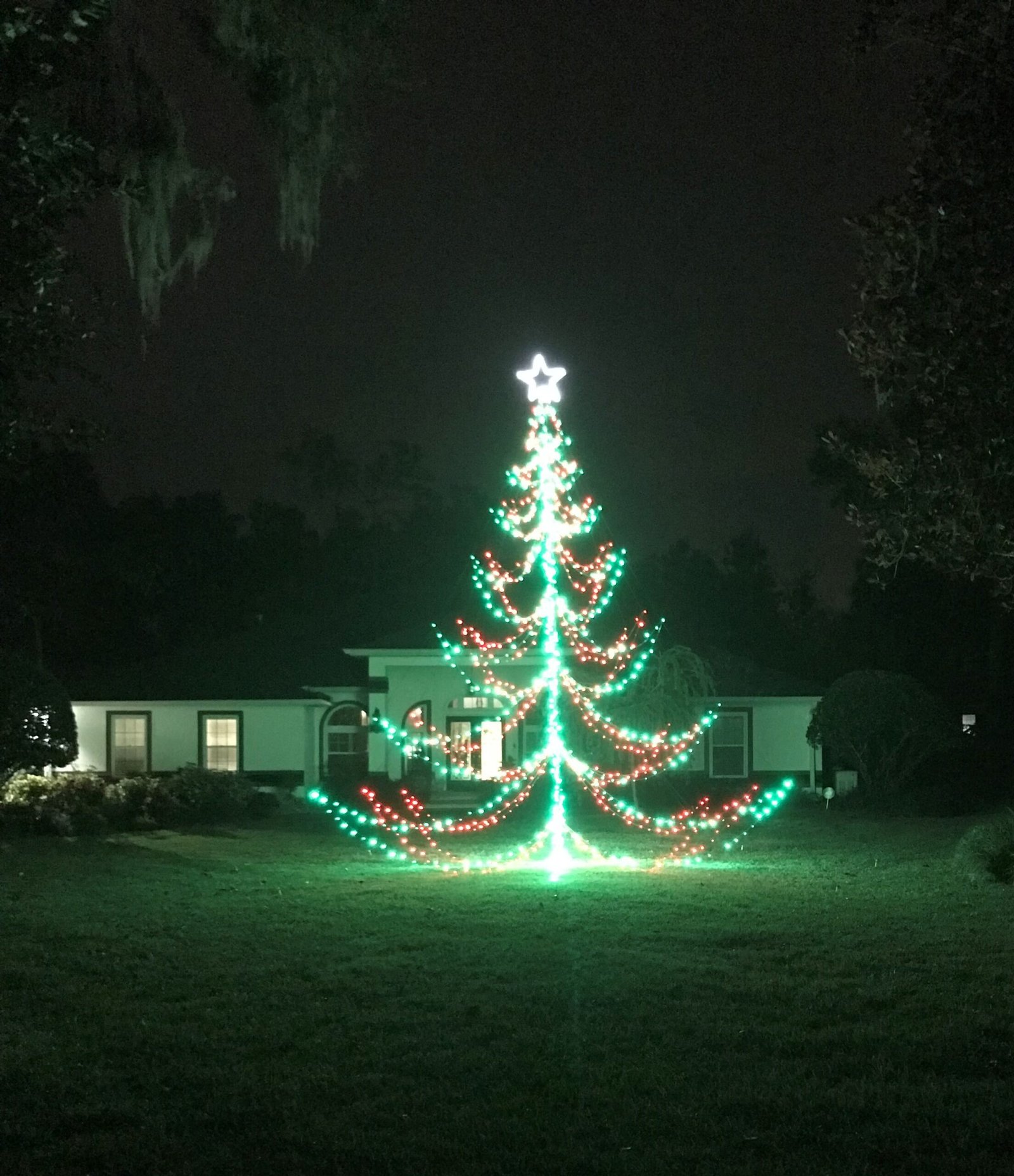 Green and Red Tree