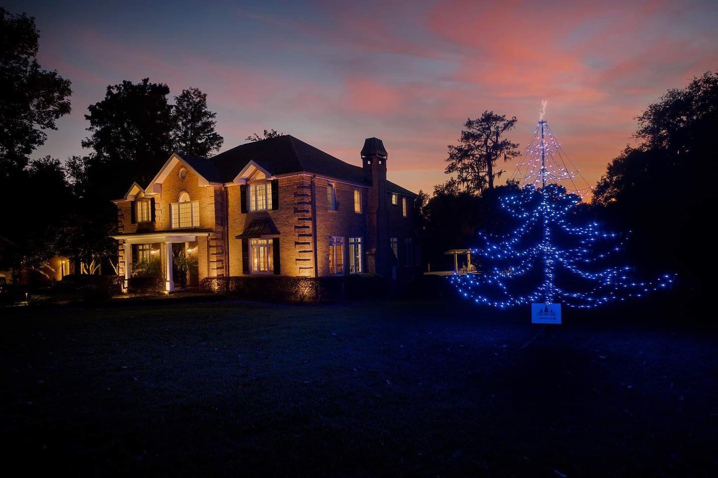 Blue Tree Front Yard