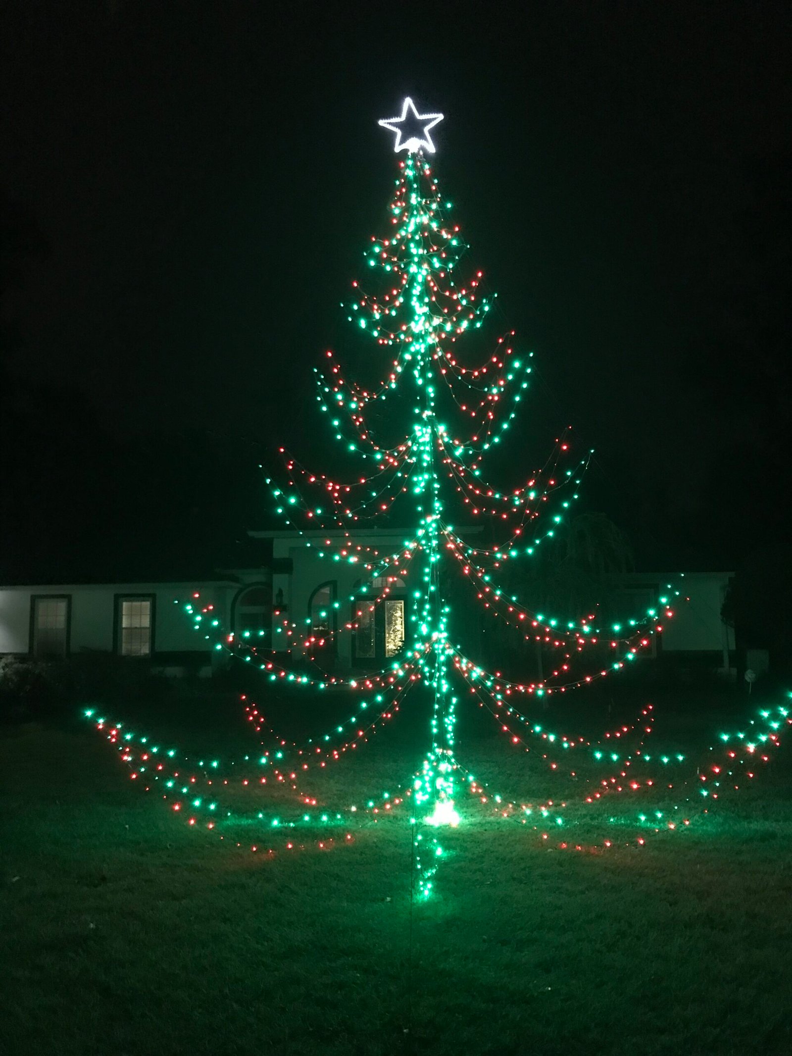 multi color tree